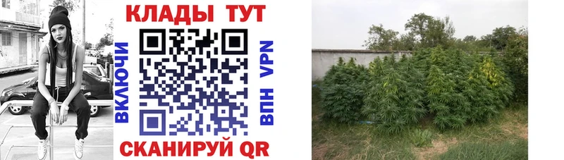 Наркошоп купить Псилоцибиновые грибы  Канабис  Амфетамин  Меф  ГАШИШ  Малоархангельск