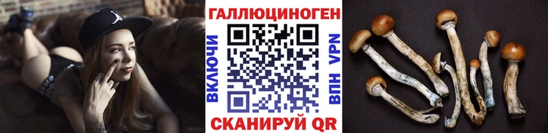 Купить закладки  Малоархангельск  Галлюциногенные грибы GOLDEN TEACHER 